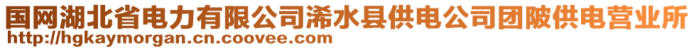 国网湖北省电力有限公司浠水县供电公司团陂供电营业所