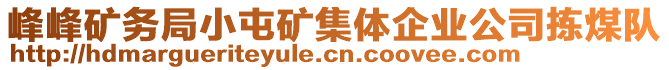 峰峰礦務(wù)局小屯礦集體企業(yè)公司揀煤隊(duì)