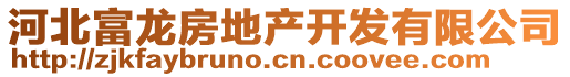 河北富龍房地產(chǎn)開(kāi)發(fā)有限公司