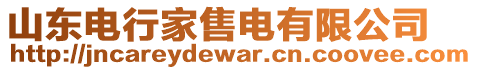 山東電行家售電有限公司