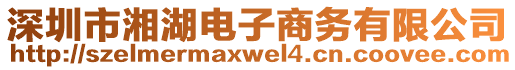 深圳市湘湖電子商務(wù)有限公司