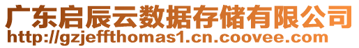 广东启辰云数据存储有限公司