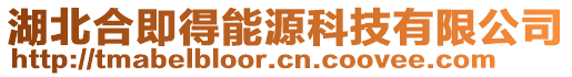 湖北合即得能源科技有限公司