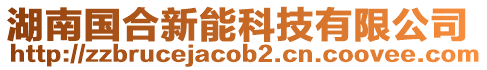 湖南國合新能科技有限公司