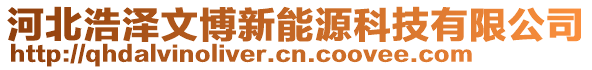 河北浩澤文博新能源科技有限公司