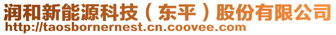 潤和新能源科技（東平）股份有限公司