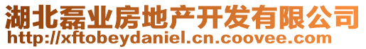 湖北磊業(yè)房地產開發(fā)有限公司