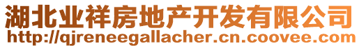 湖北業(yè)祥房地產(chǎn)開發(fā)有限公司