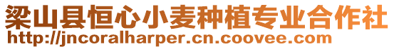 梁山縣恒心小麥種植專業(yè)合作社