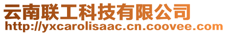 云南聯(lián)工科技有限公司