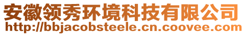 安徽領(lǐng)秀環(huán)境科技有限公司