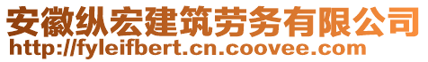 安徽縱宏建筑勞務(wù)有限公司