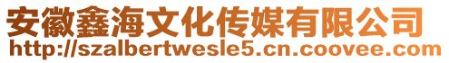 安徽鑫海文化传媒有限公司