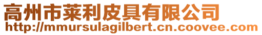 高州市萊利皮具有限公司