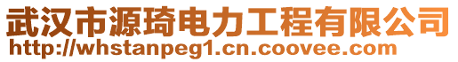 武漢市源琦電力工程有限公司