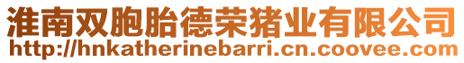 淮南雙胞胎德榮豬業(yè)有限公司