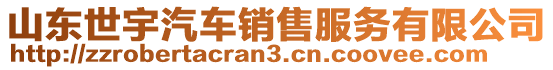 山東世宇汽車銷售服務(wù)有限公司