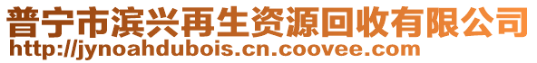 普寧市濱興再生資源回收有限公司