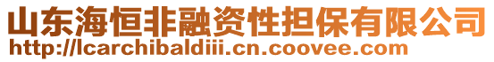 山東海恒非融資性擔(dān)保有限公司