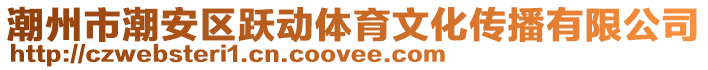 潮州市潮安區(qū)躍動體育文化傳播有限公司