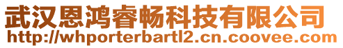 武汉恩鸿睿畅科技有限公司