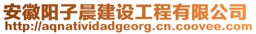 安徽陽子晨建設工程有限公司