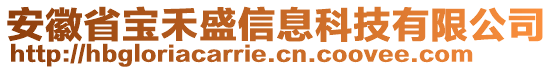 安徽省寶禾盛信息科技有限公司