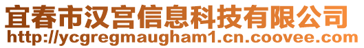 宜春市汉宫信息科技有限公司