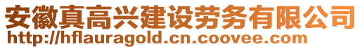 安徽真高兴建设劳务有限公司