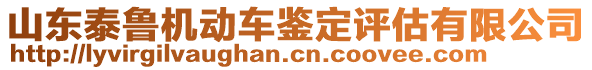 山東泰魯機(jī)動車鑒定評估有限公司