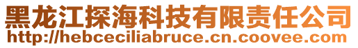 黑龙江探海科技有限责任公司