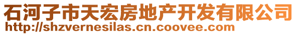 石河子市天宏房地產開發(fā)有限公司