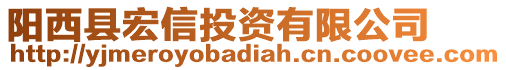 陽西縣宏信投資有限公司