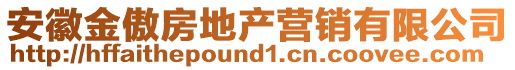 安徽金傲房地產(chǎn)營銷有限公司