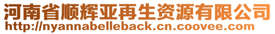 河南省順輝亞再生資源有限公司