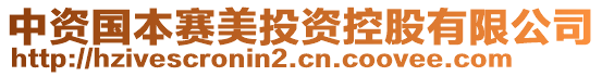 中資國本賽美投資控股有限公司