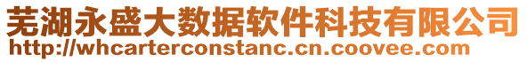 蕪湖永盛大數據軟件科技有限公司