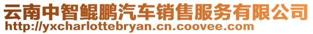 云南中智鯤鵬汽車銷售服務(wù)有限公司