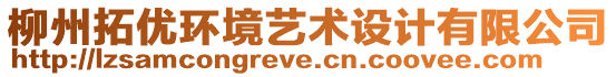 柳州拓優(yōu)環(huán)境藝術設計有限公司