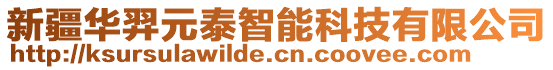 新疆華羿元泰智能科技有限公司