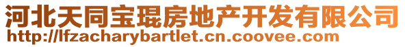 河北天同宝琨房地产开发有限公司