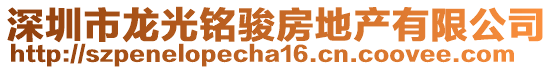 深圳市龙光铭骏房地产有限公司