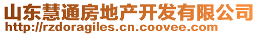 山東慧通房地產(chǎn)開發(fā)有限公司