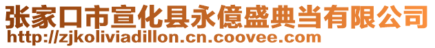 張家口市宣化縣永億盛典當(dāng)有限公司