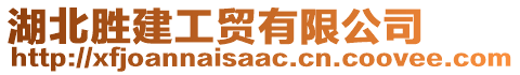 湖北勝建工貿(mào)有限公司