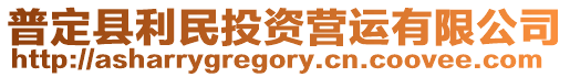 普定縣利民投資營運有限公司