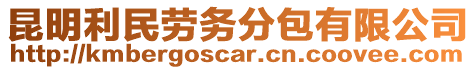 昆明利民勞務(wù)分包有限公司