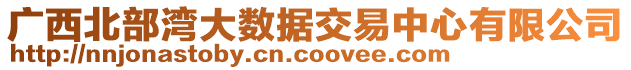 廣西北部灣大數(shù)據(jù)交易中心有限公司