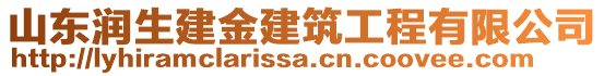 山東潤(rùn)生建金建筑工程有限公司