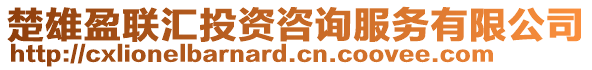 楚雄盈聯匯投資咨詢服務有限公司